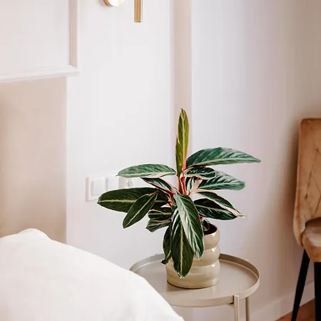 Pobookowane Wilcza Old Town * グダニスク