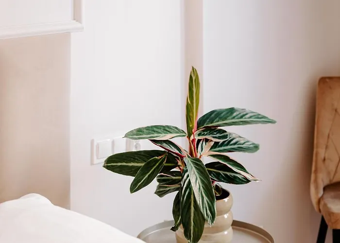 Pobookowane Wilcza Old Town * Gdańsk